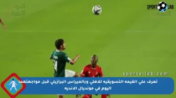 تعرف على القيمة التسويقية للأهلي وبالميراس البرازيلي قبل مواجهتهما اليوم في مونديال الأندية